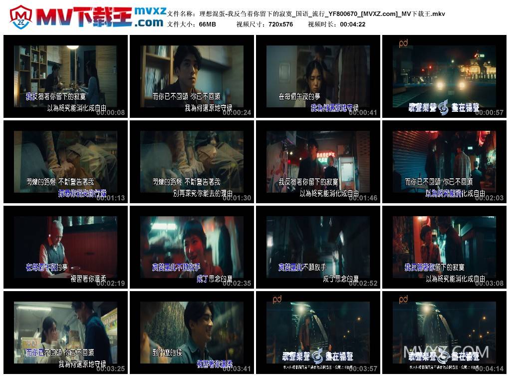 理想混蛋-我反刍着你留下的寂寞_国语_流行_YF800670